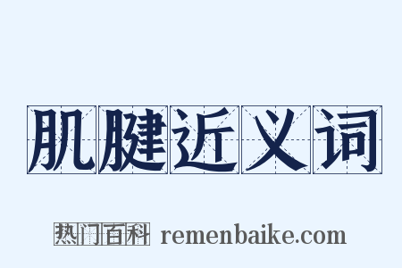 肌腱近义词是什么意思的图片